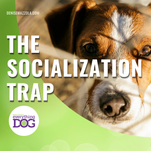 The Socialization Trap