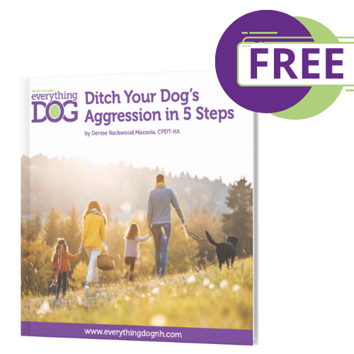 Stop Dog Aggression eBook - Free Download