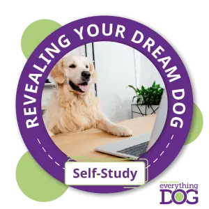 Ditch the Aggression, Not the Dog: Self Study