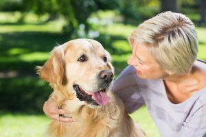 reactive dog training